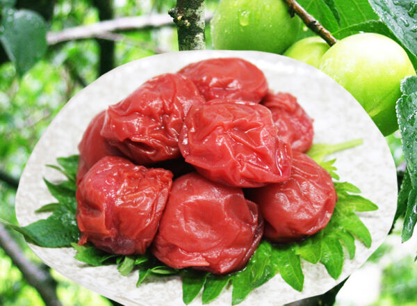 C11.福井紅映うめぼし1kg(500g×2P)