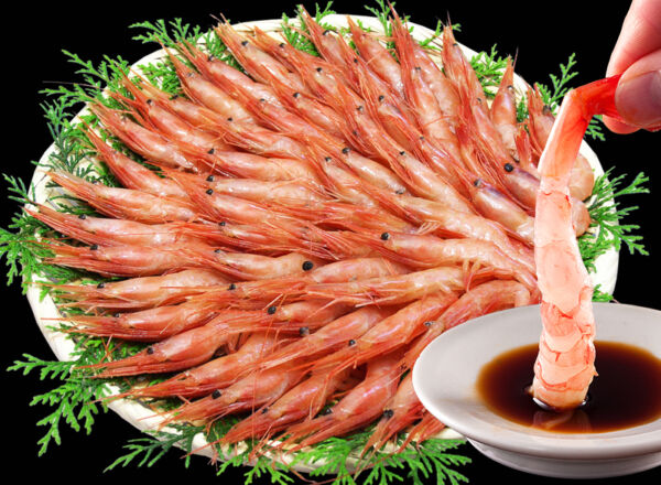 C2.越前甘えび500g(約35匹前後)